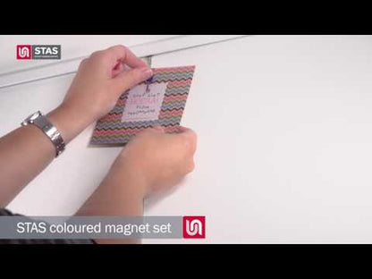 STAS coloured magnet set