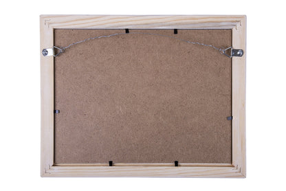 STAS d-ring screw hanger set includes screws, D-rings & 100cm steel wire.